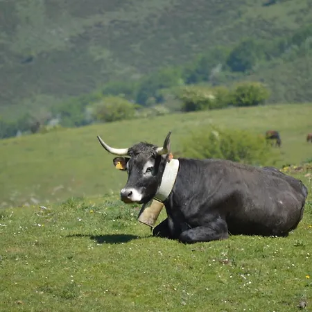 Casucas La Guariza *
