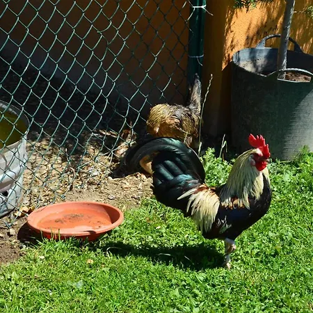 Casucas La Guariza Nyaraló *