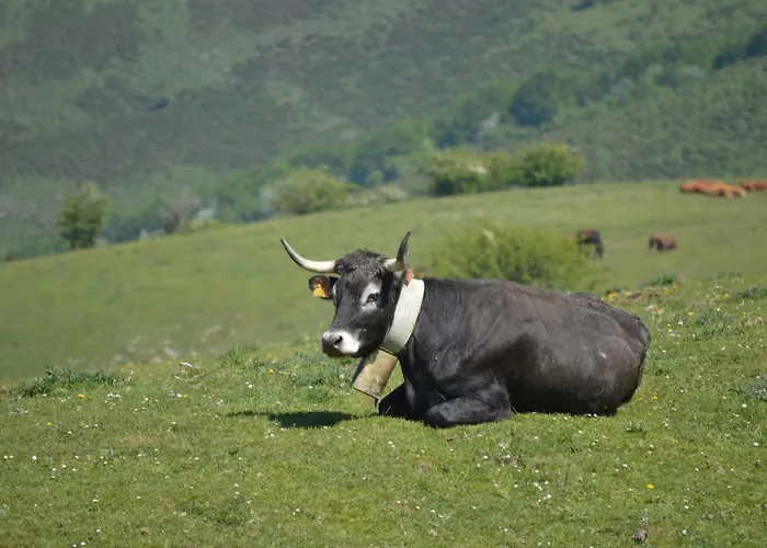 Casucas La Guariza *