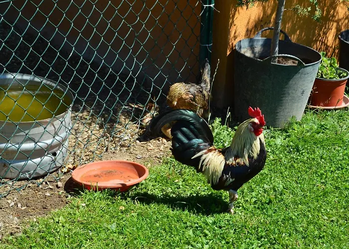 Casucas La Guariza Holiday home *