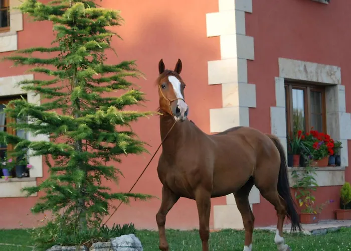 Casucas La Guariza *